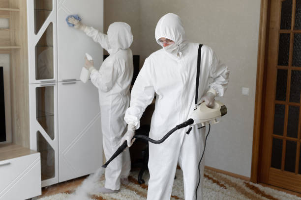 Best Local Mold Removal Service  in De Kal, TX