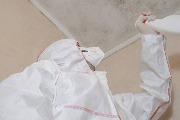 Best Professional Mold Removal  in De Kal, TX