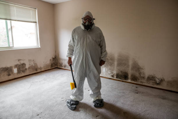 Best Mold Cleaning Services  in De Kal, TX